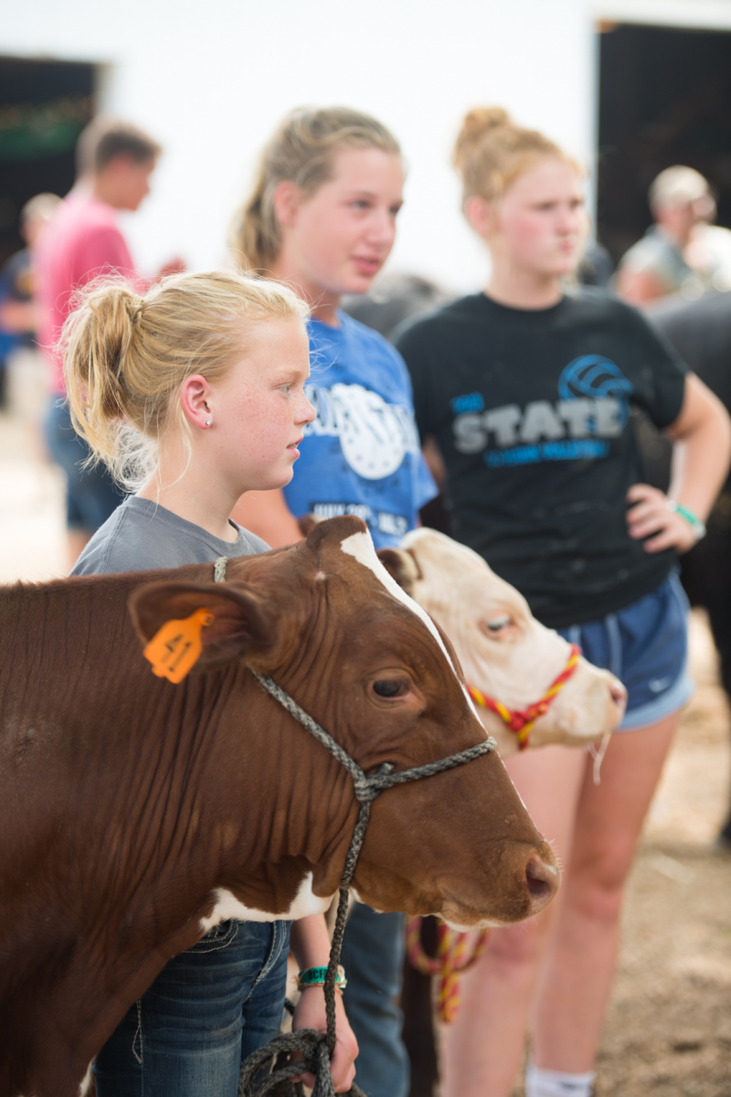 Iowa Shines at County Fairs